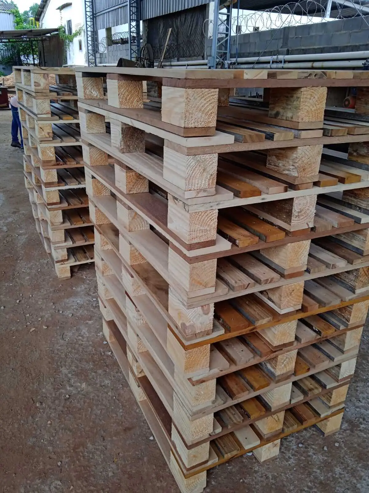 Pallets de madeira empilhados no pátio da Casa Nova